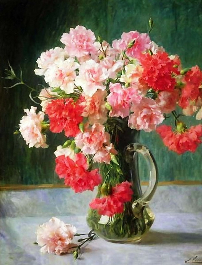 Fleur de janvier : L’ Œillet …