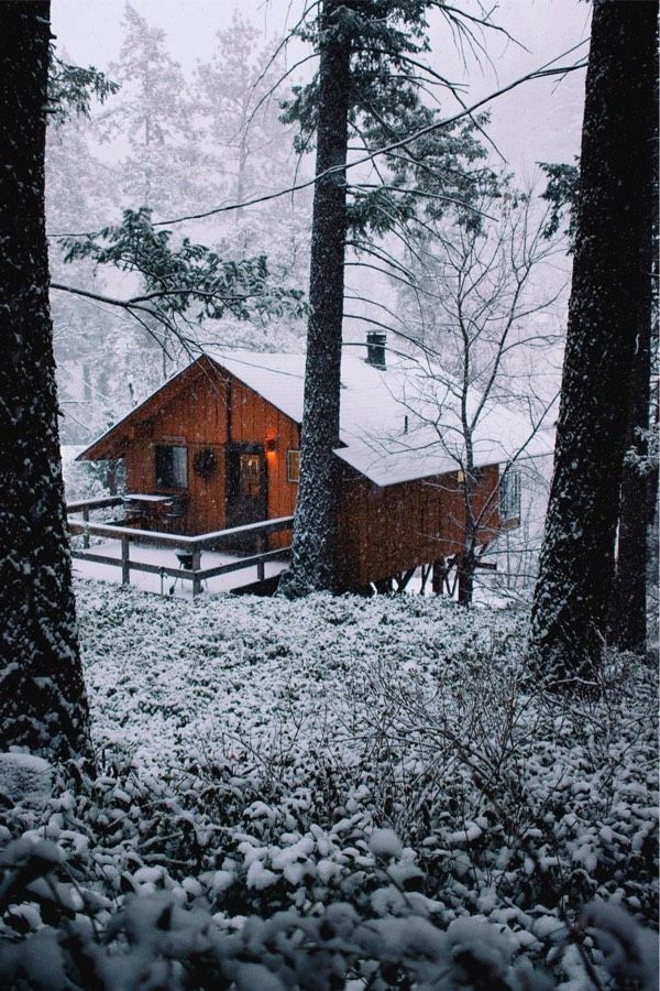 La cabane au fond des bois&nbsp;…