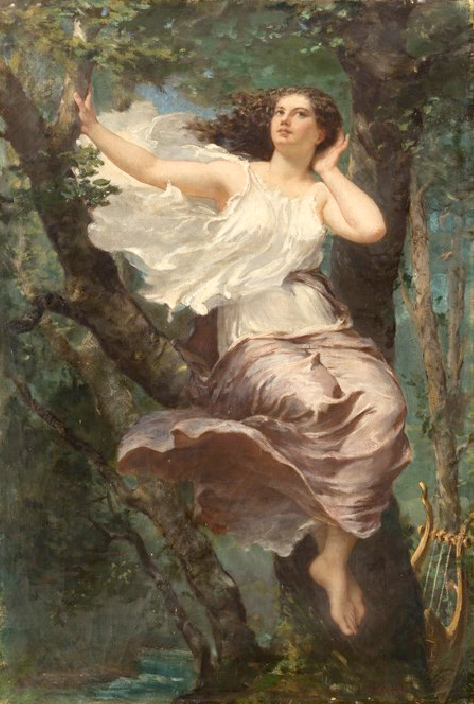 Le vent dans les branches&nbsp;…