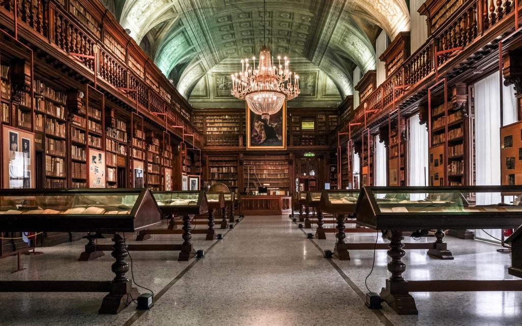 Une bibliothèque c&rsquo;est&nbsp;…