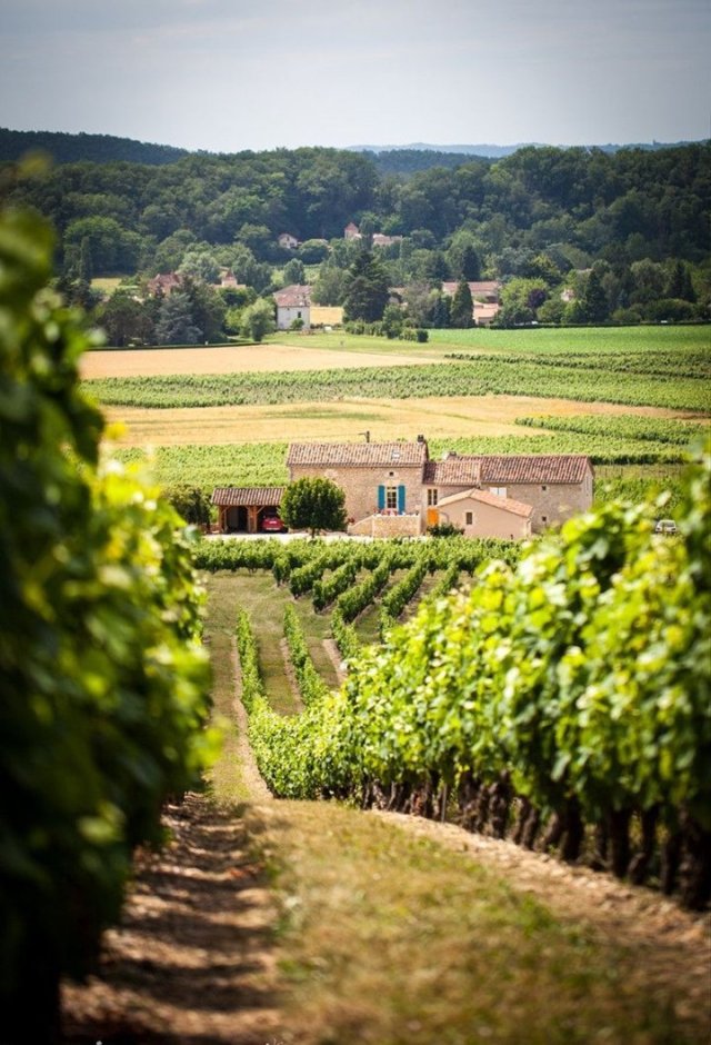 Bacchus & la vigne&nbsp;…