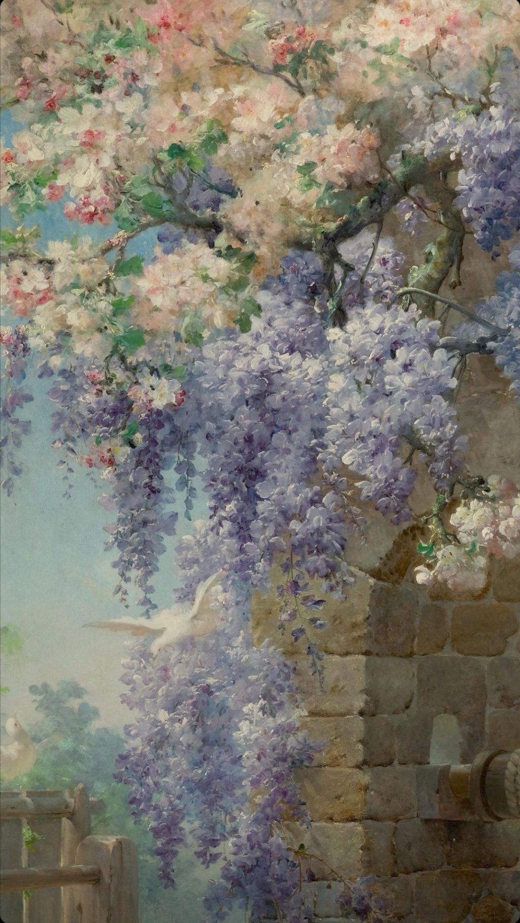 Ô beau pied de glycine&nbsp;…