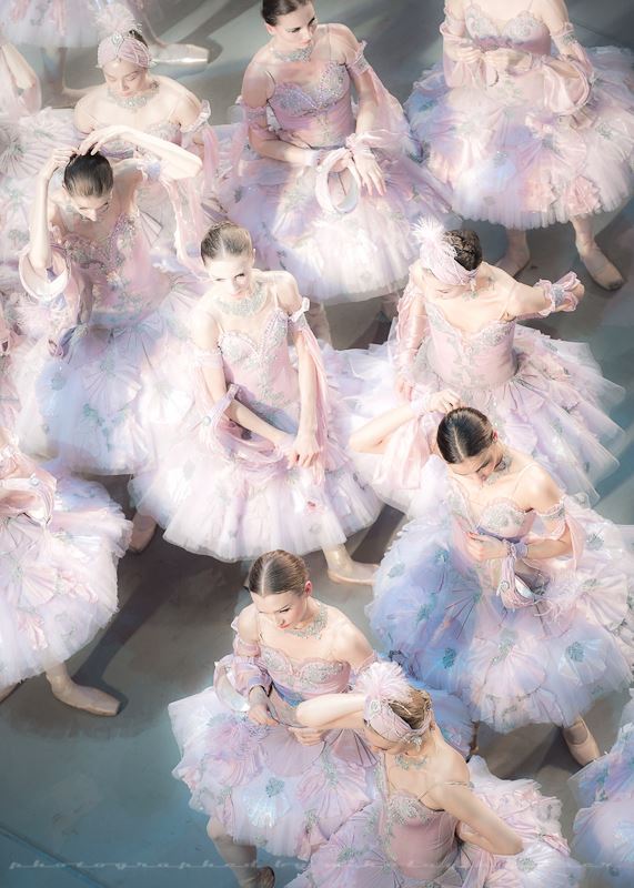 Dans le corps de ballet&nbsp;…