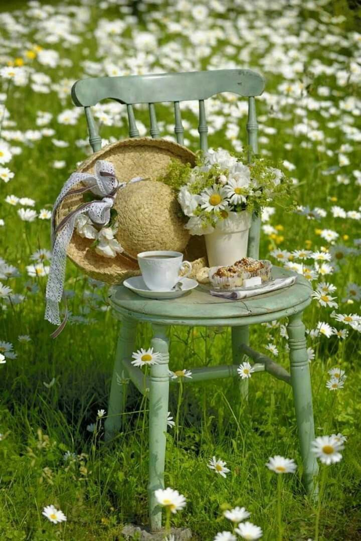 Le thé vert du printemps&nbsp;…