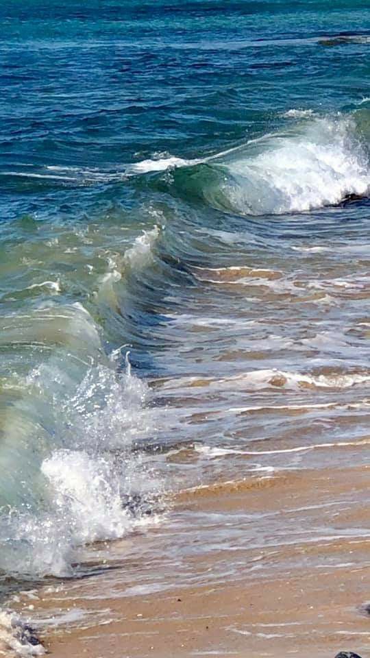 La vie s&rsquo;apparente à la mer&nbsp;…