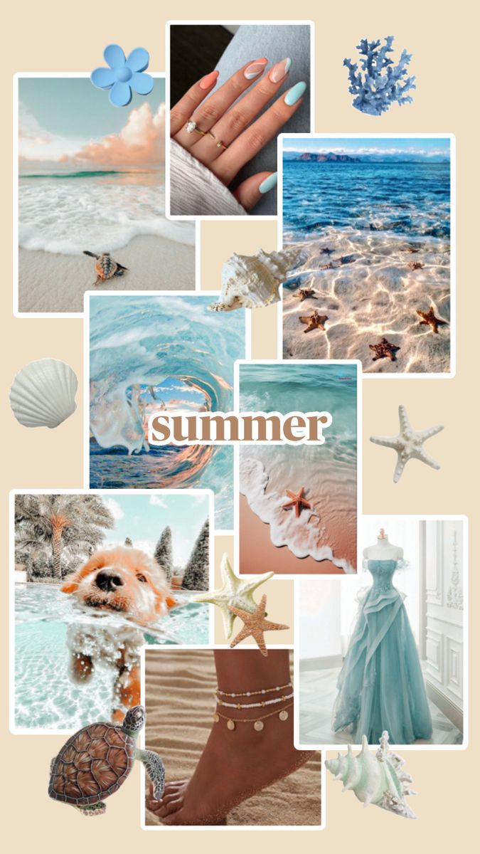 20.6.2024 : l&rsquo;été&nbsp;…