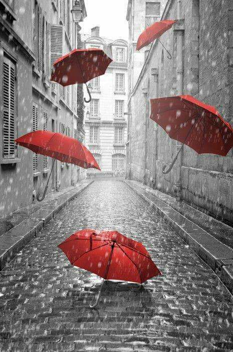 Parapluie …