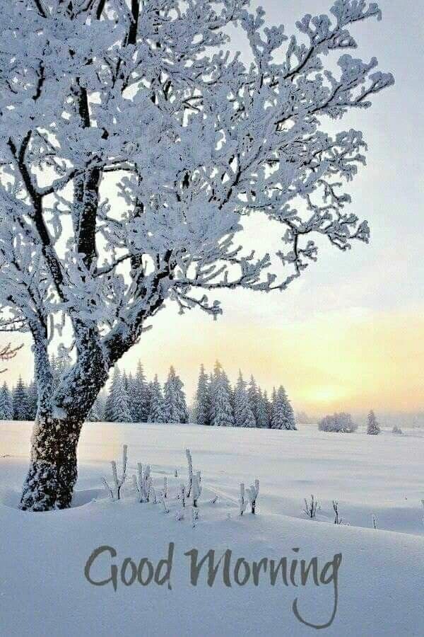 La neige apaise tout&nbsp;…