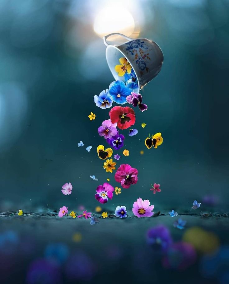 Semons des fleurs&nbsp;…