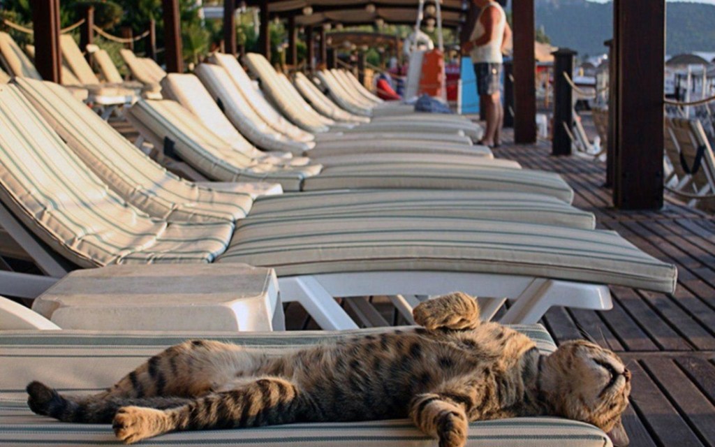 Et si c&rsquo;était ça le bonheur&nbsp;…