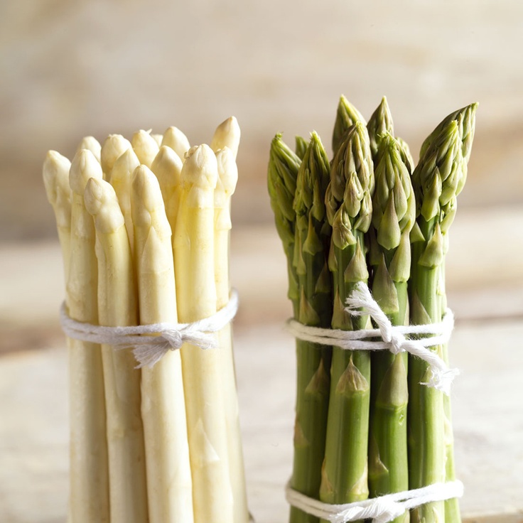 Un légume du printemps  : l&rsquo;asperge&nbsp;…