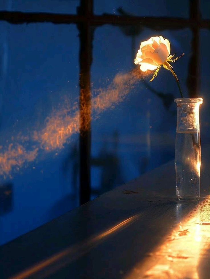 Les esprits des fleurs&nbsp;…