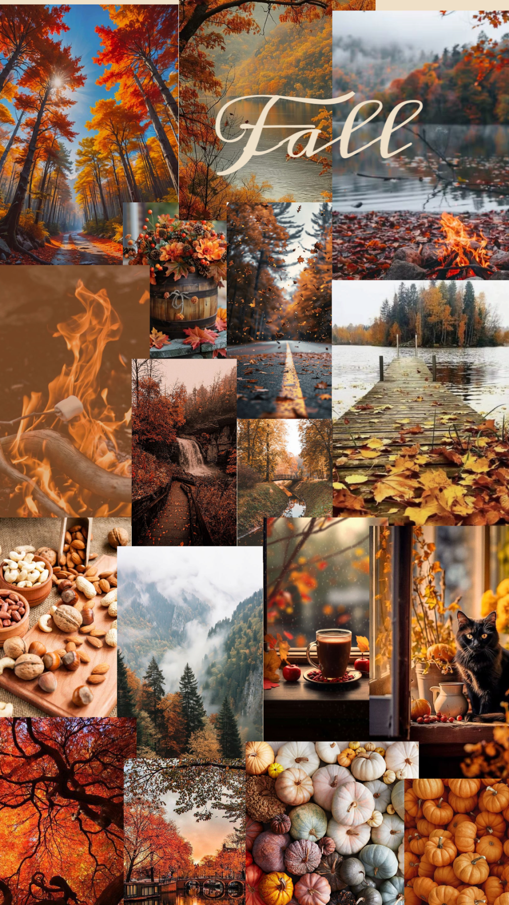 22.9.2025… c&rsquo;est l&rsquo;automne&nbsp;!