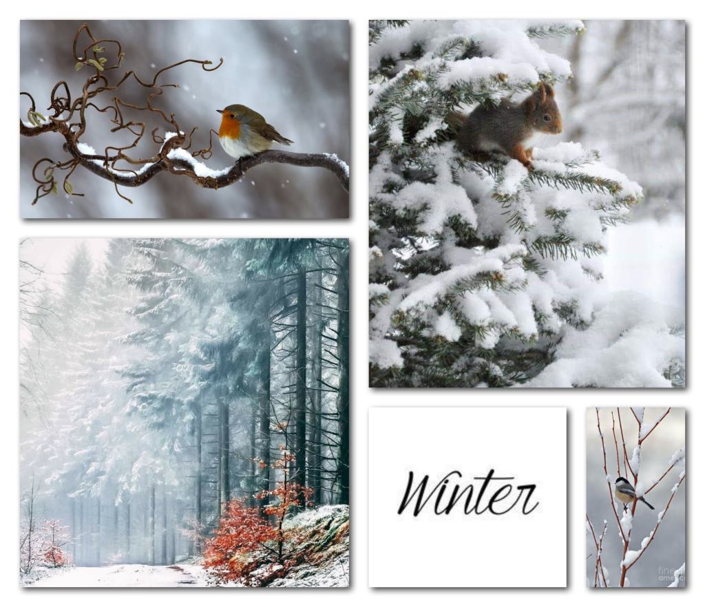 21.12.2025 : l’hiver est de retour …