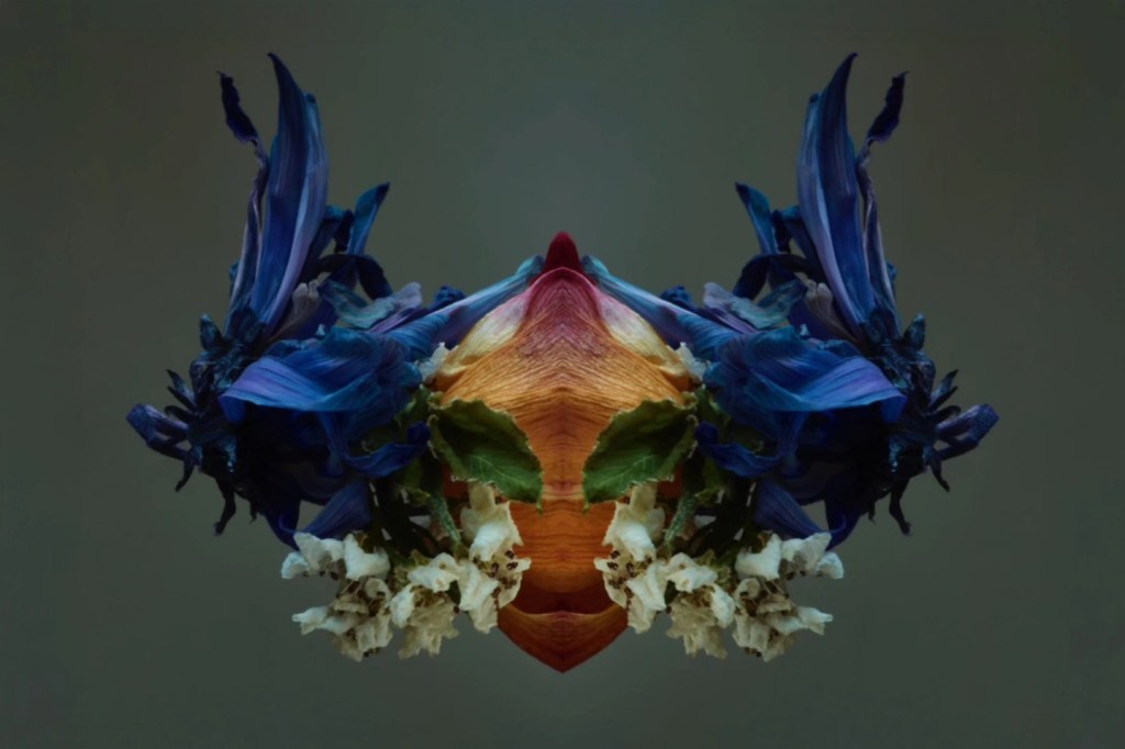 Les fleurs d&rsquo;Alexi LUBOMIRSKI&nbsp;…