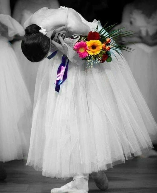 Ballet & Danseuses&nbsp;…