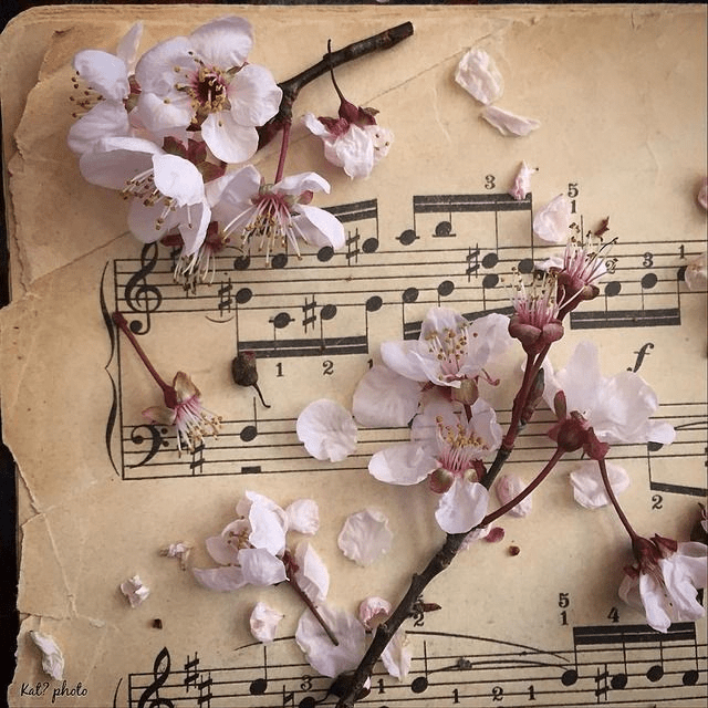 Printemps musical …