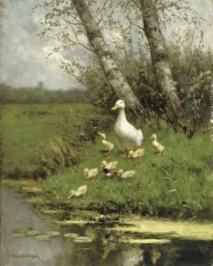 Les petits canards …