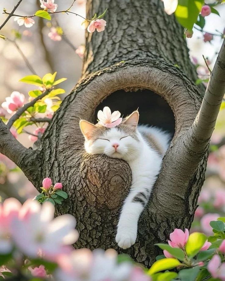 Sacré Printemps ! …