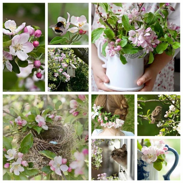 Impression printanière …