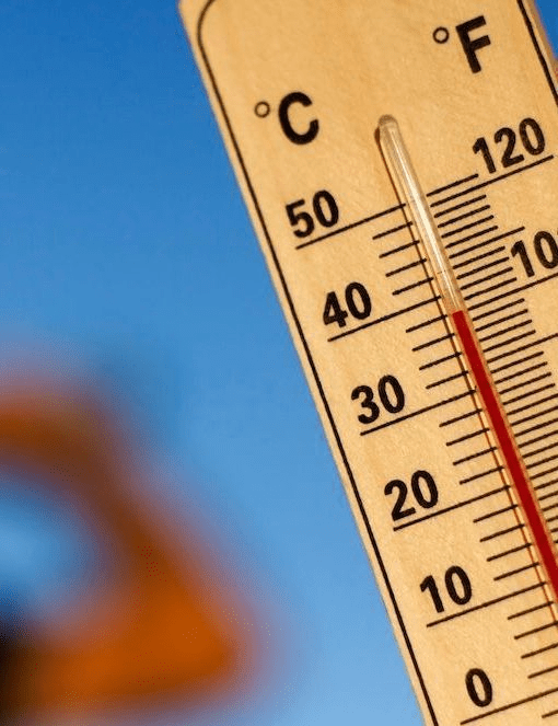 Canicule …
