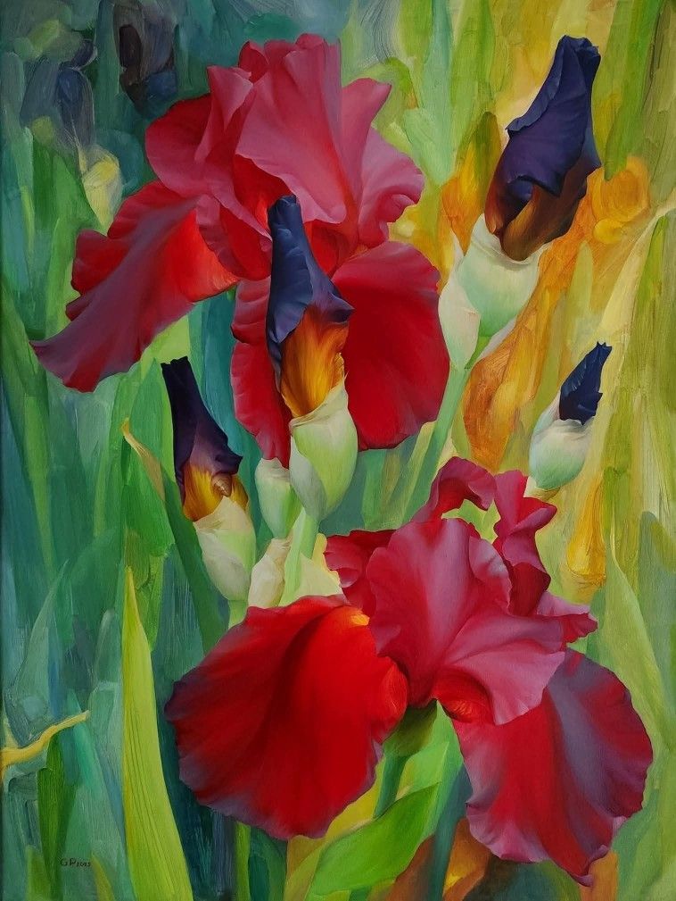 Les Iris …