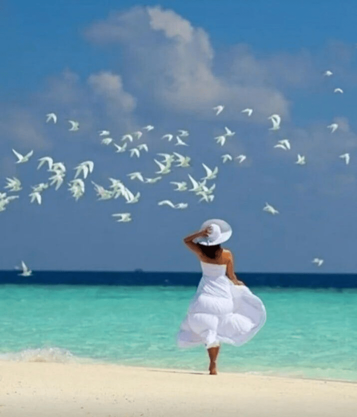 La plage vide en été&nbsp;…