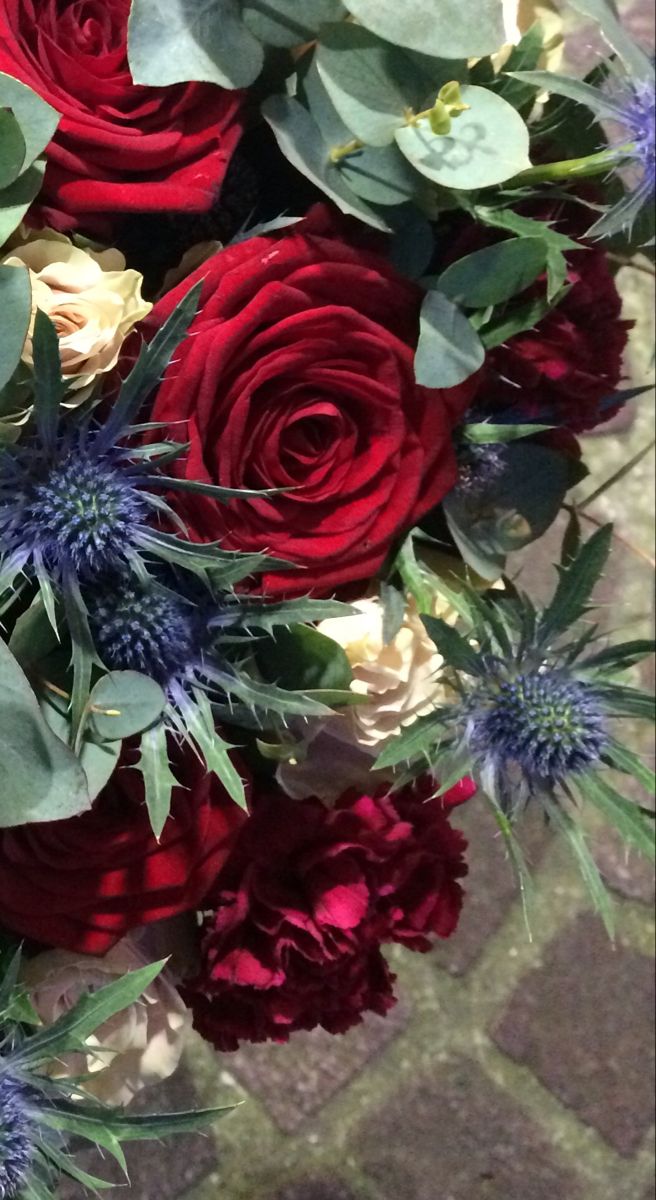 La rose & le chardon&nbsp;…