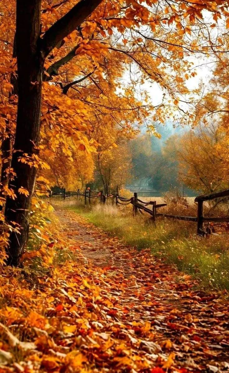 Feuilles d&rsquo;automne …
