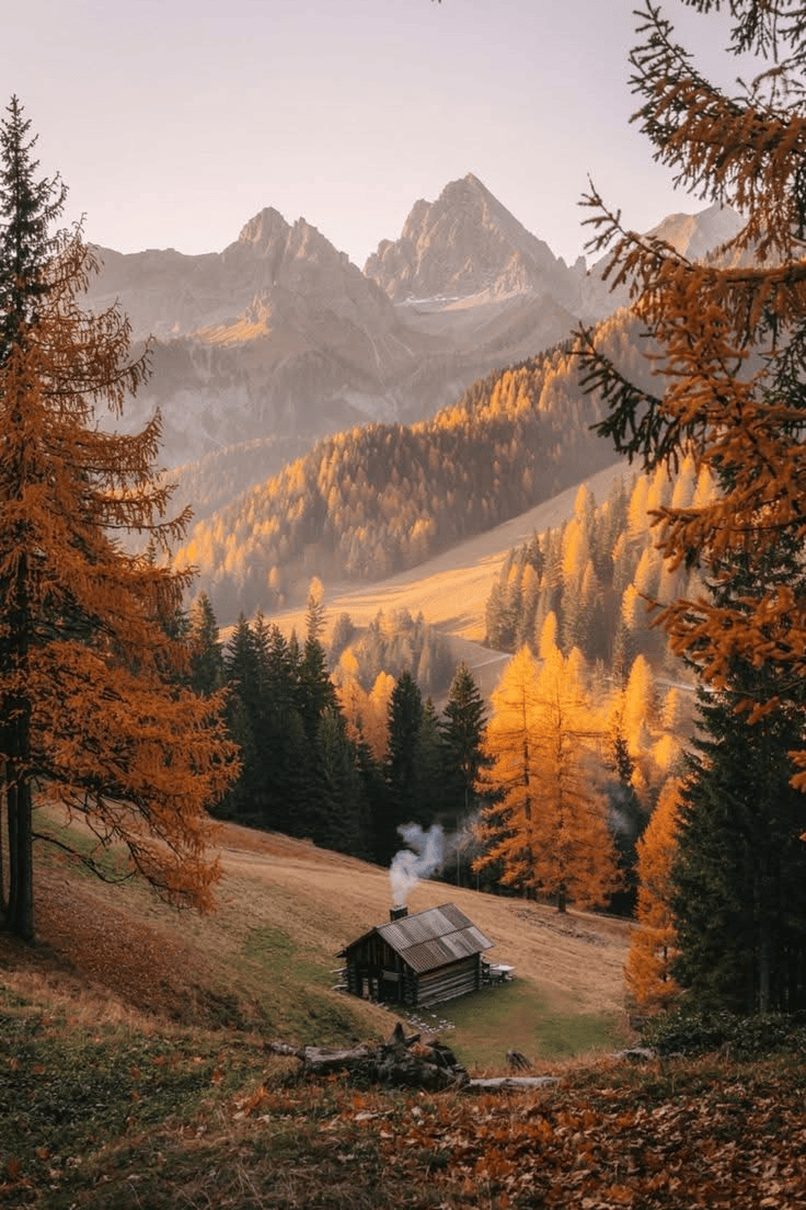 Haïkus d’automne …